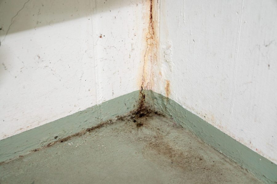 Mold growth on an area of leak on the wall and floor